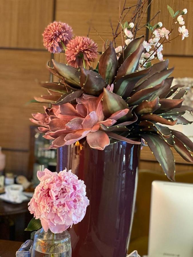 Hotel Spring Rimini Ngoại thất bức ảnh